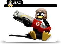 Linux rocket