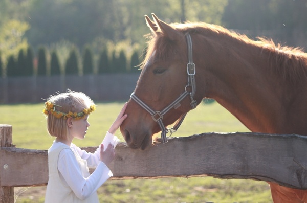 little girl horse riding school