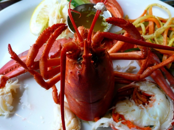 lobster cooked food