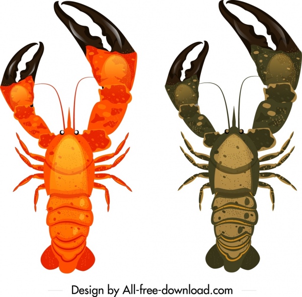 lobster icons big claws decor colored mockup design