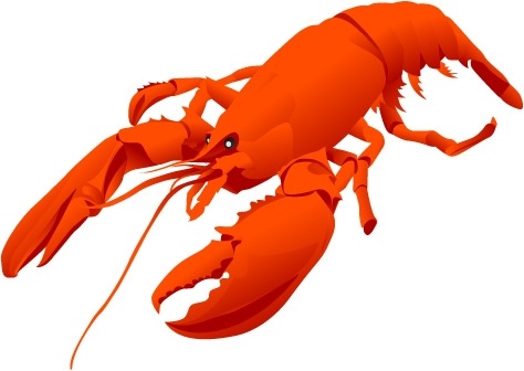 lobster icon 3d red closeup design