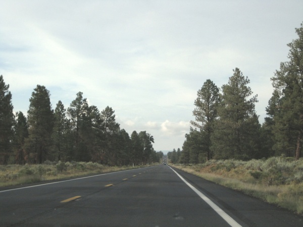 long straight highway through trees 