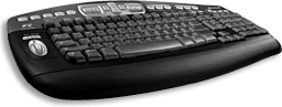 Longhorn keyboard Icon