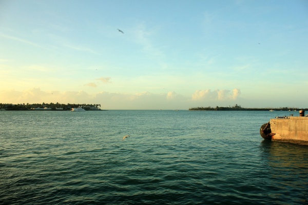 looking into the harbor at key west florida 
