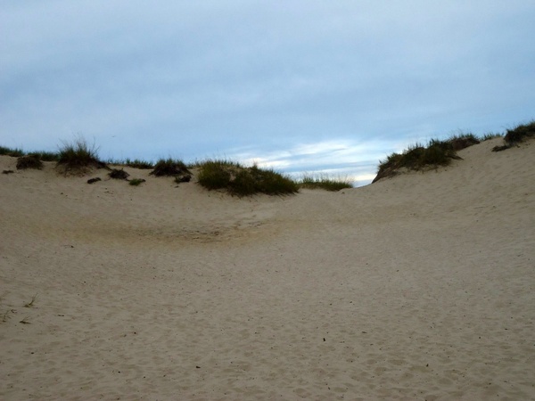 looking past a dune at kohler andrae state park wisconsin
