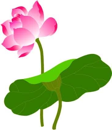 lotus icon design colorful 3d style