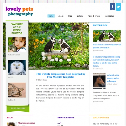 Lovely Pets Photography Template