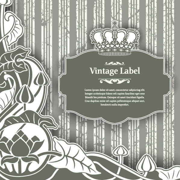 luxury vintage label and ornaments vector