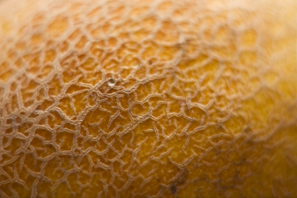 macro shot of cantaloupe reticulated skin texture