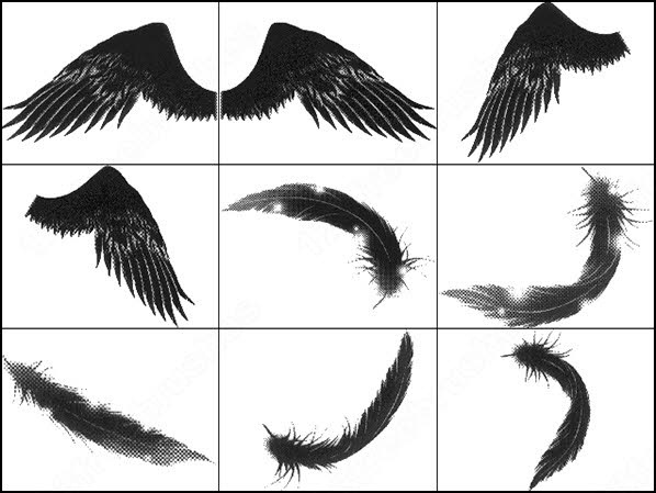 dove photoshop brushes free download