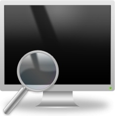 Magnifier and LCD Monitor