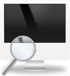 Magnifier and LCD Monitor