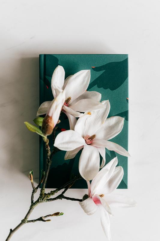 magnolia houseplant backdrop picture book decoration  