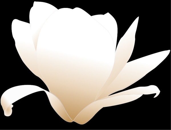 Free Free 61 Magnolia Flower Svg Free SVG PNG EPS DXF File