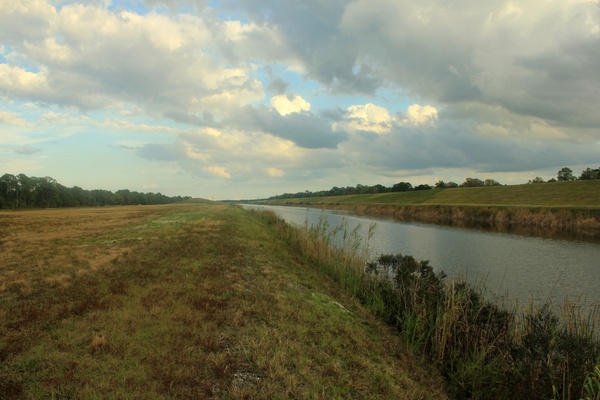 main river channel at st sebastion river state park florida 