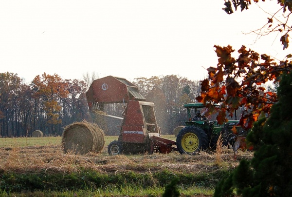 making hay farming tractor