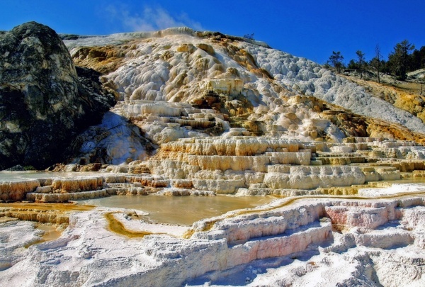 mammoth hot springs yellowstone national park water