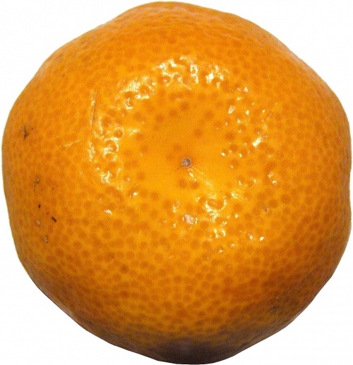 mandarin citrus fruit citrus fruits