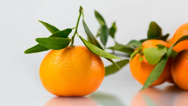 closeup of fresh oranges 