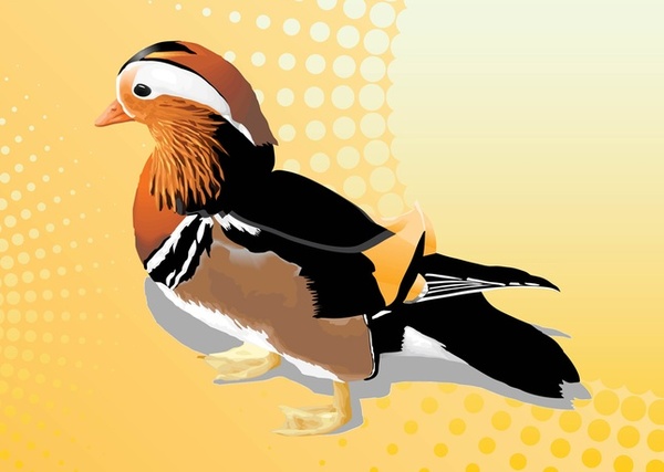 mandarin duck vector