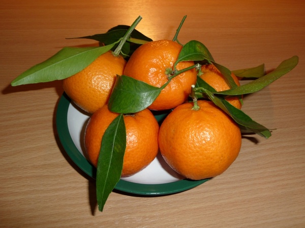 mandarin oranges fruits