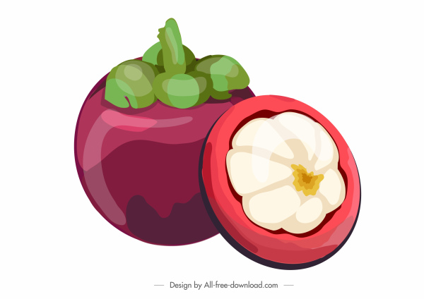 mangosteen fruit icon colored classic design cut sketch
