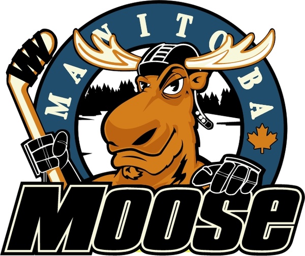 manitoba moose 
