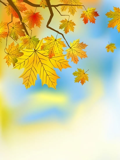 maple leaves tree background bright colored blurred decor