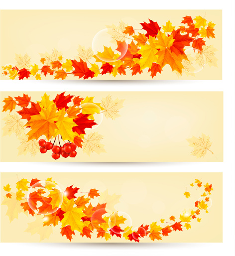 maple leaf banners vector set