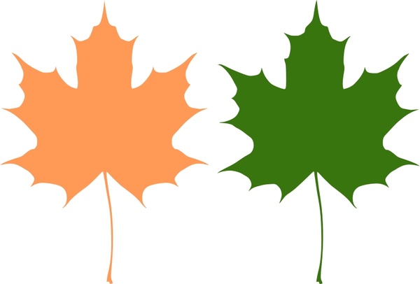Maple leaves Free vector in Open office drawing svg ( .svg ) vector