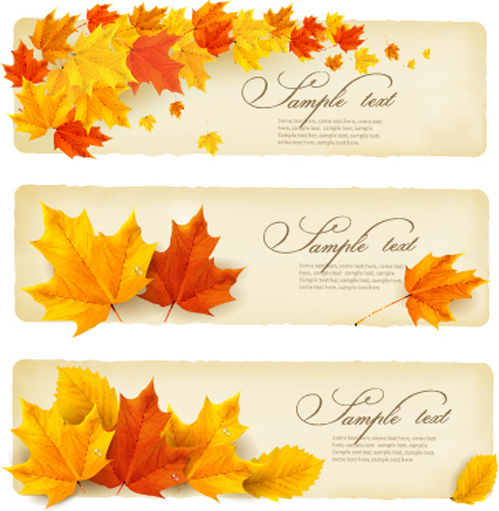 maple leaves banner autumn vector