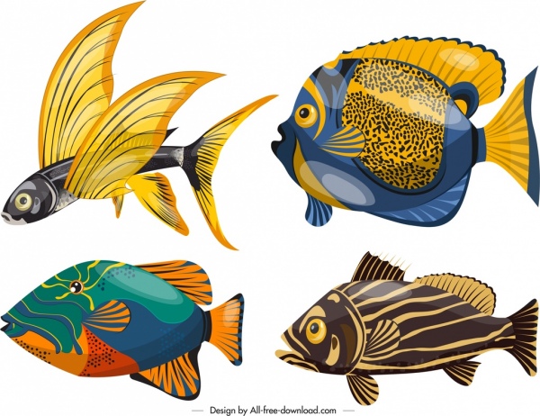 marine background fishes species icons colorful design