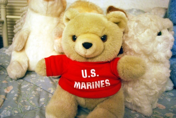 marine bear
