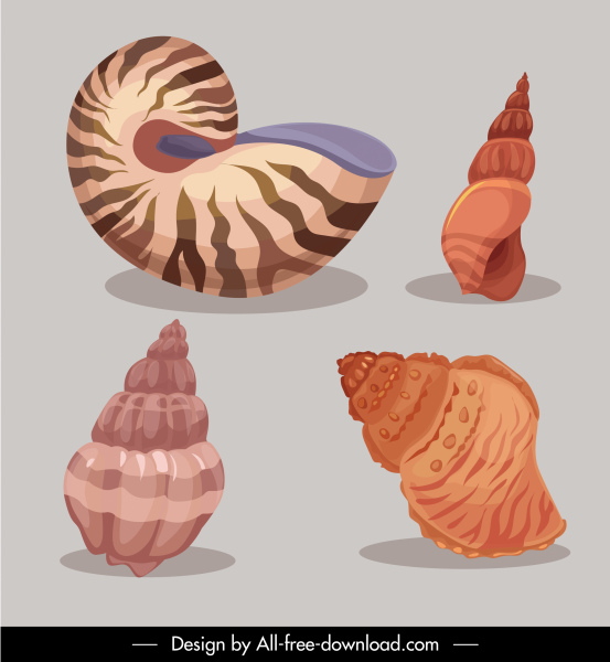 marine conch icons colored classical sketch