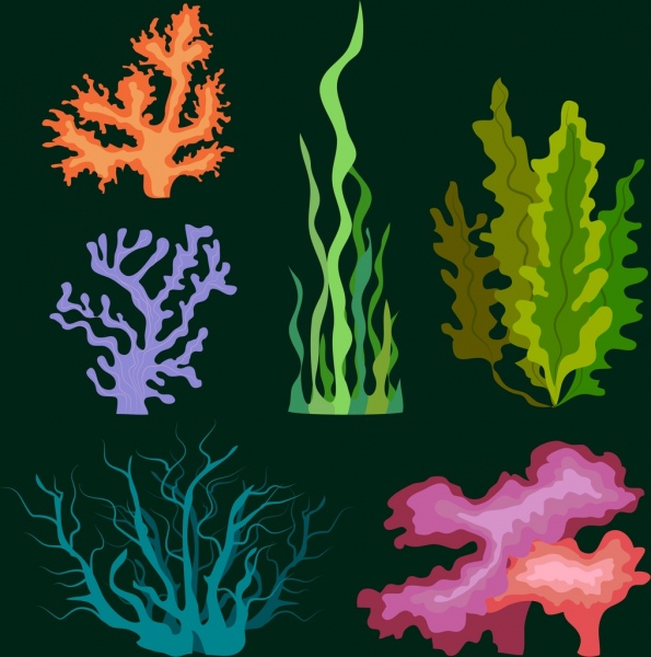 marine plant icons colorful flat ornament