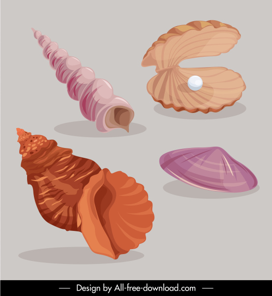 marine shell icons colored classic sketch