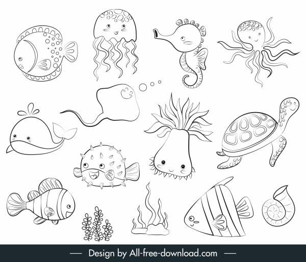 marine species icons back white handdrawn sketch