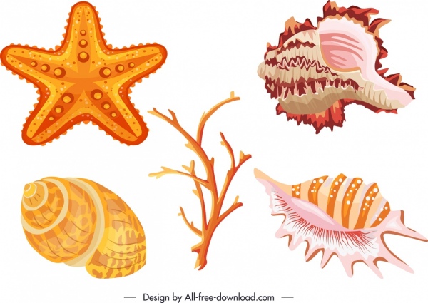 marine species icons shell starfish coral sketch