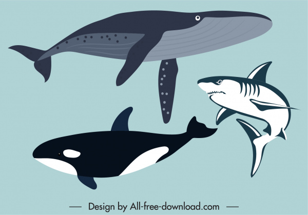 marine species icons whales shark sketch classical design