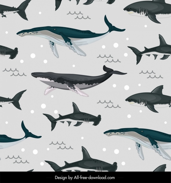 marine species pattern whales sharks icons repeating design