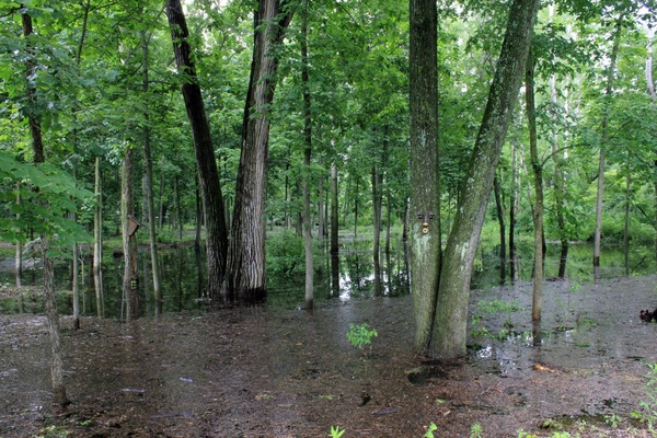 marsh in madison wisconsin 