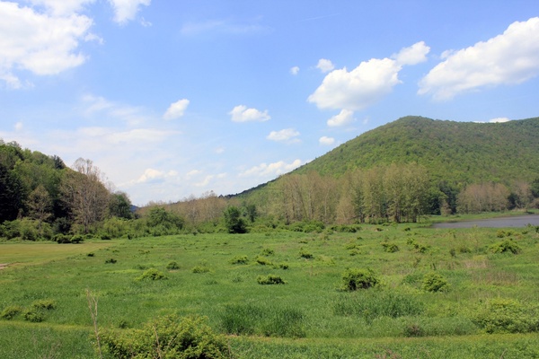 meadow and hills at sinnemahoning state park pennsylvania 