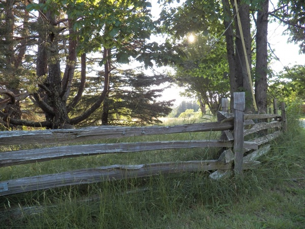 meadow fence