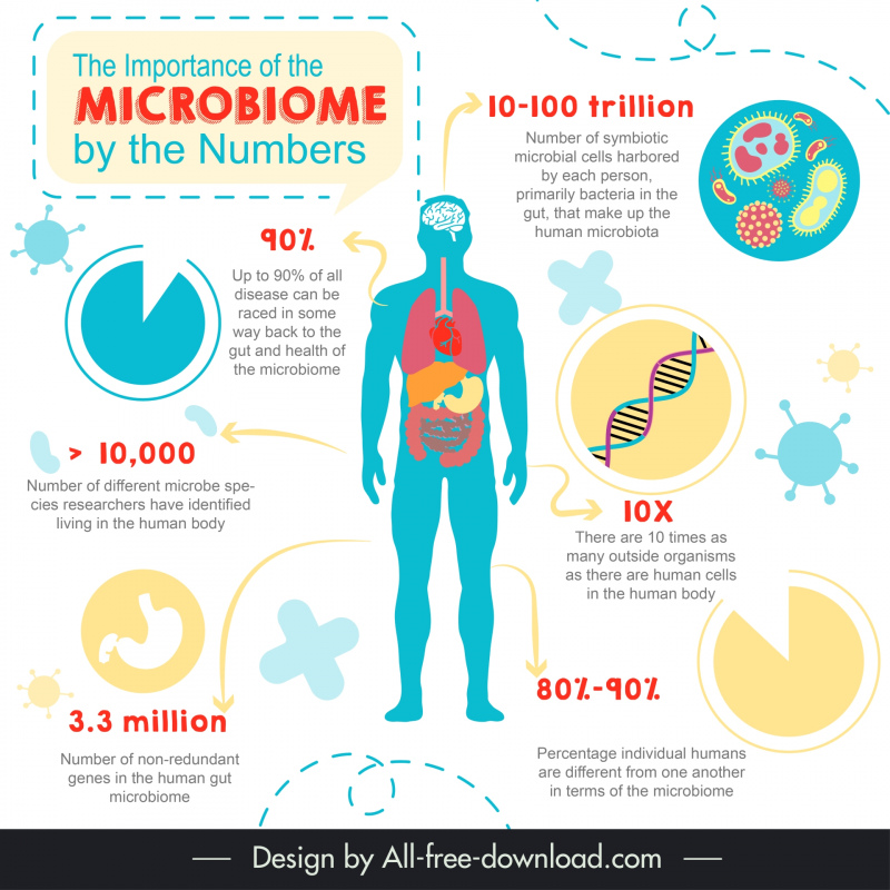 microbiome infographic template flat silhouette design 