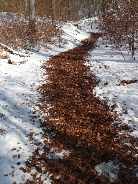 migratory path trail winter