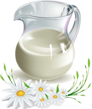 MILK AND CAMOMILE VECTOR