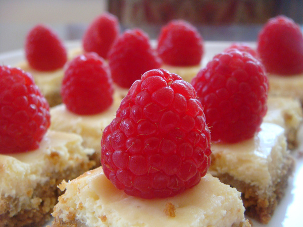 mini lemon cheesecake squares with raspberries