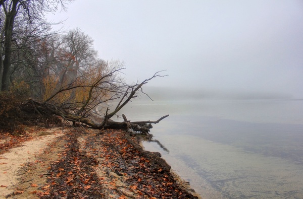 misty lakeshore in madison wisconsin