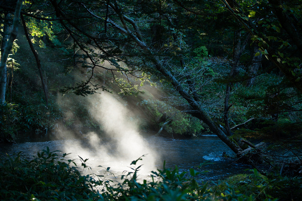 misty river yukawa