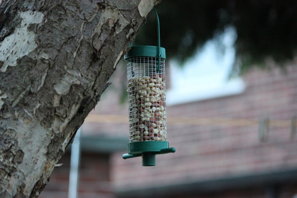 mixed nut bird feeder